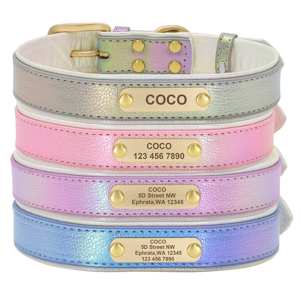 Custom Pet Collar with Personalized Name Tag - Adjustable Leather