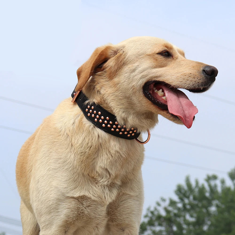 Spiked Leather Dog Collar - Adjustable Metal Rivet Pet Accessory