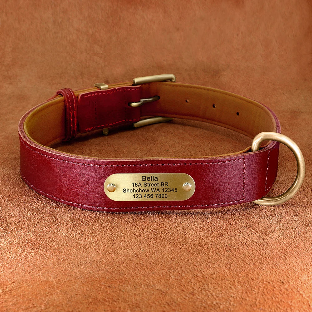 Personalized Leather Dog Collar & Leash Set with Free Engraving Red Collar