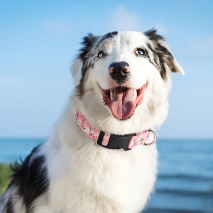 Adjustable Nylon Dog Collar - Cute Spring Summer Pet Necklace