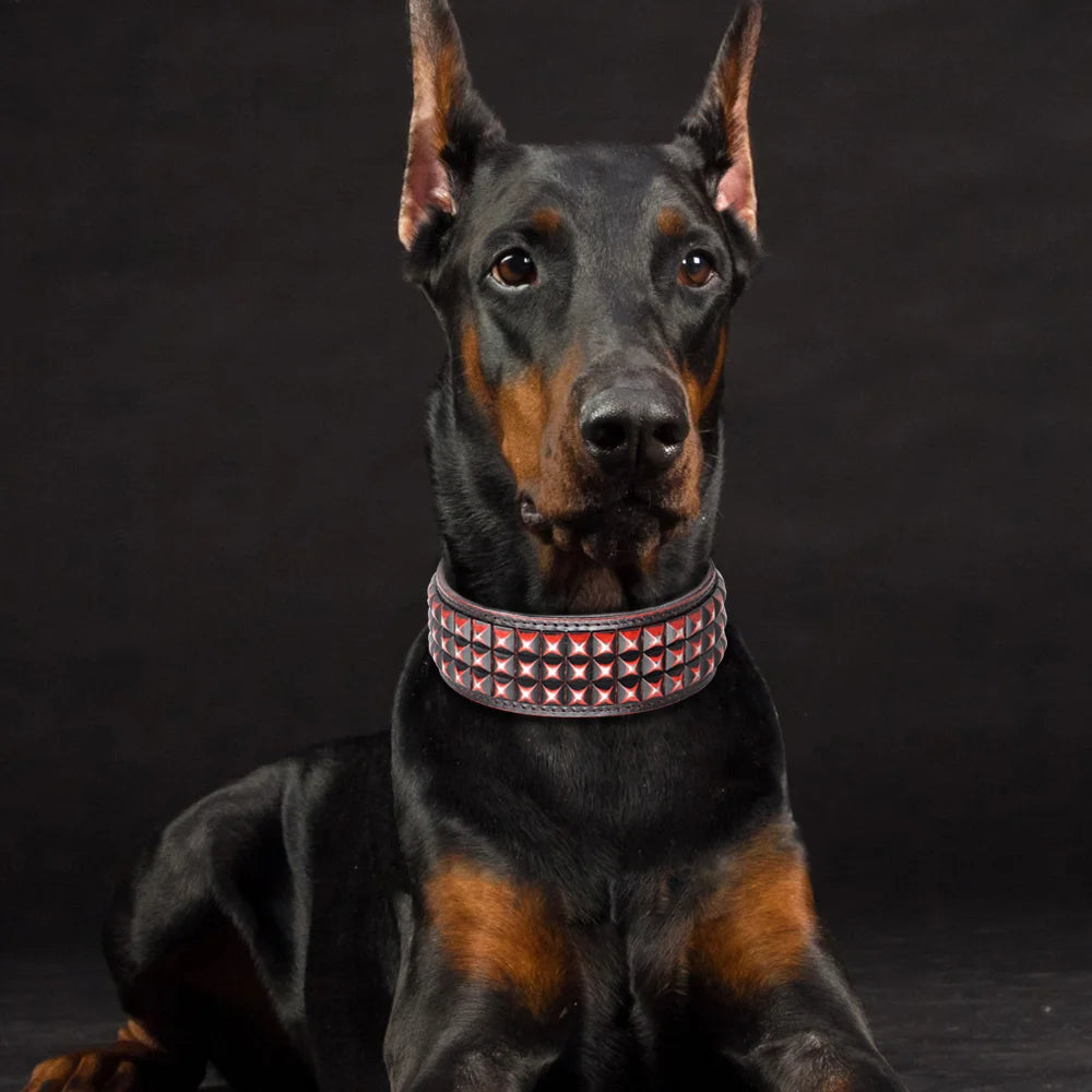 Luxury Leather Dog Collar 2 Inch Wide Diamond Spike - Large Dogs