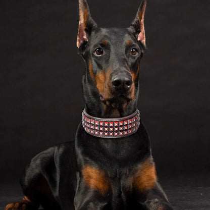 Luxury Leather Dog Collar 2 Inch Wide Diamond Spike - Large Dogs