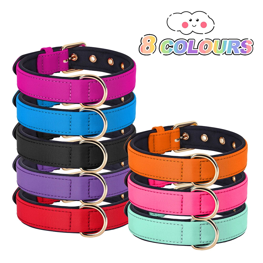 Waterproof Dog Collar - Durable Nylon with Soft Padding