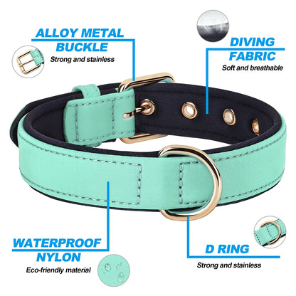 Waterproof Dog Collar - Durable Nylon with Soft Padding