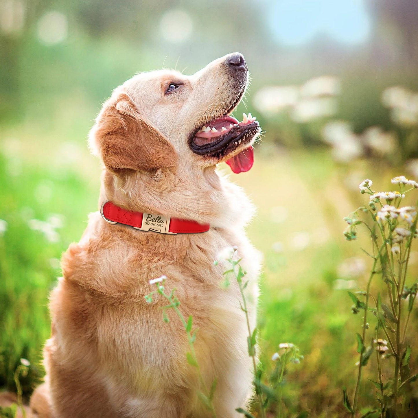Custom Engraved Dog Collar - Personalized PU Leather Pet ID Collar