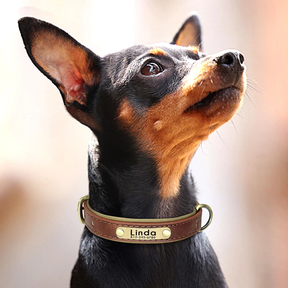 Personalized PU Leather Dog Collar with Free Engraving - Soft Padded