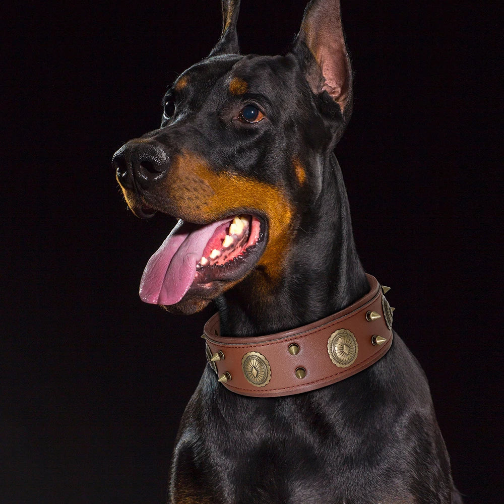 2 Inch Wide Spiked Leather Dog Collar for Large Dogs