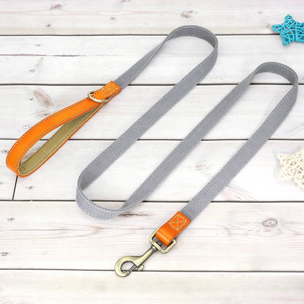 Custom Dog Collar Leash Set Personalized Pet ID Nylon Leather Gray leash