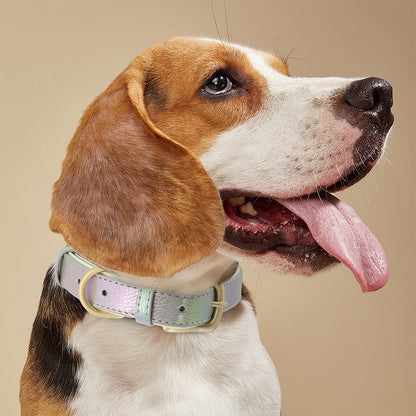 Custom Pet Collar with Personalized Name Tag - Adjustable Leather