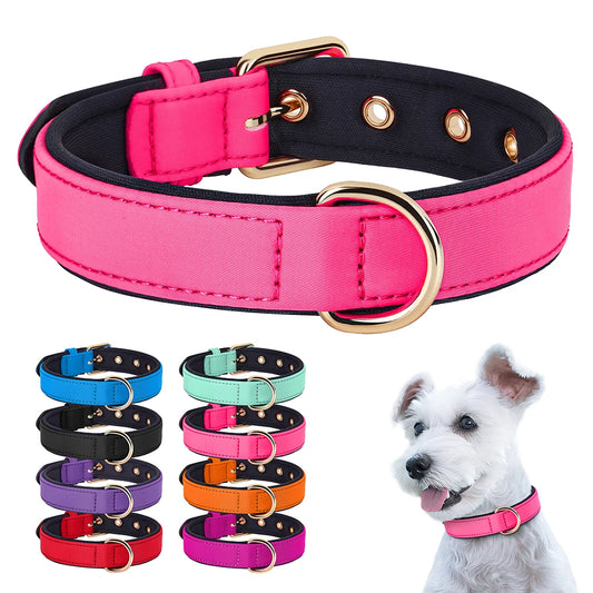 Waterproof Dog Collar - Durable Nylon with Soft Padding