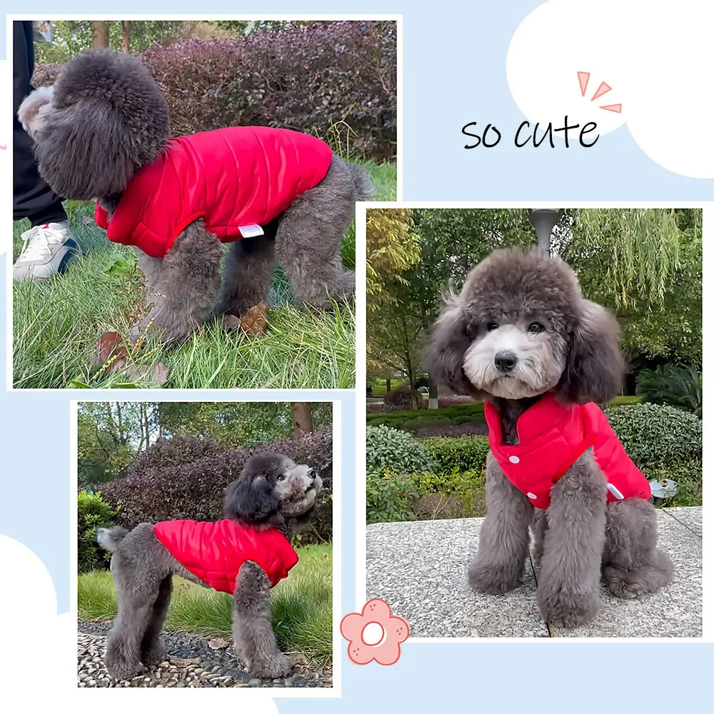 Winter Dog Jacket - Warm Down Coat for Small Medium Dogs
