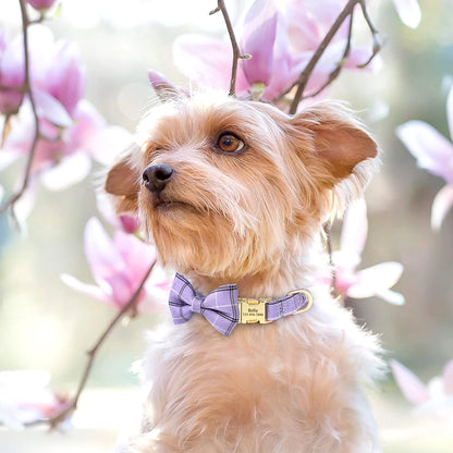 Custom Dog Collar Bowknot Engraved Pet ID Nylon Small Medium