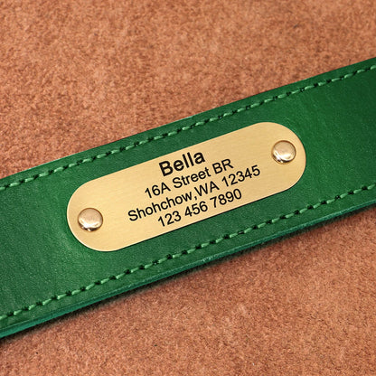 Personalized Leather Dog Collar & Leash Set with Free Engraving