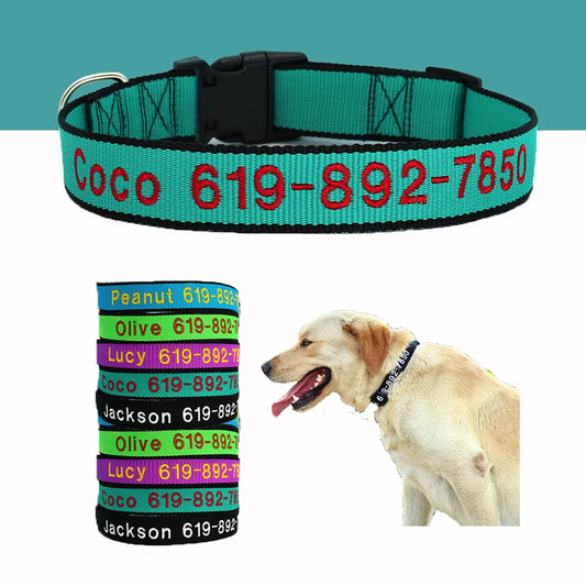 Custom Dog Collar with Embroidered Name - Adjustable Nylon Pet ID