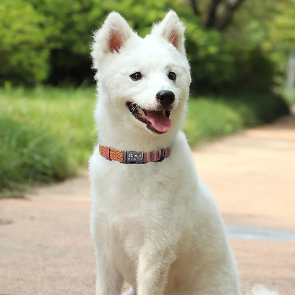 Custom Dog Collar with Name - Adjustable Nylon Pet Collar