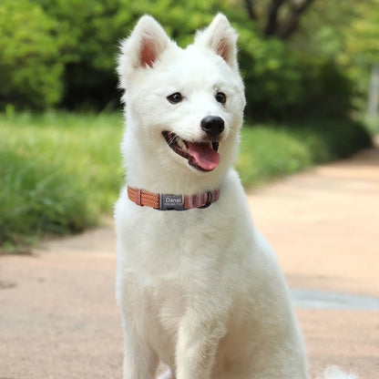 Custom Dog Collar with Name - Adjustable Nylon Pet Collar