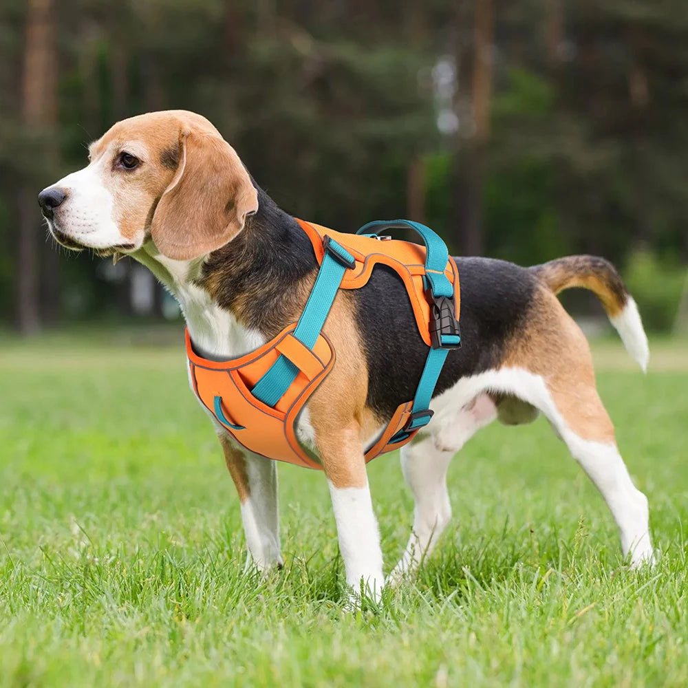 Reflective Dog Harness - Breathable Mesh Vest for Training & Walking