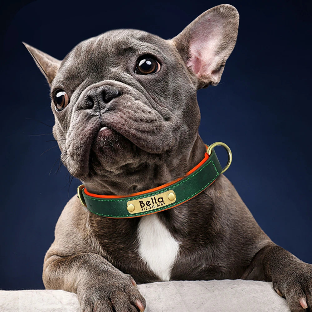 Personalized PU Leather Dog Collar with Free Engraving - Soft Padded