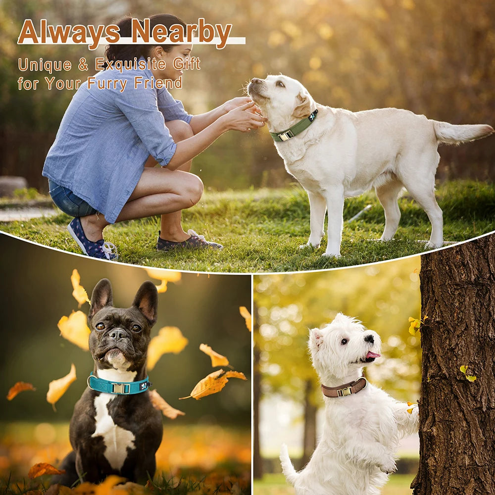 Soft Padded Dog Collar - Adjustable Nylon Pet Collar for Dogs
