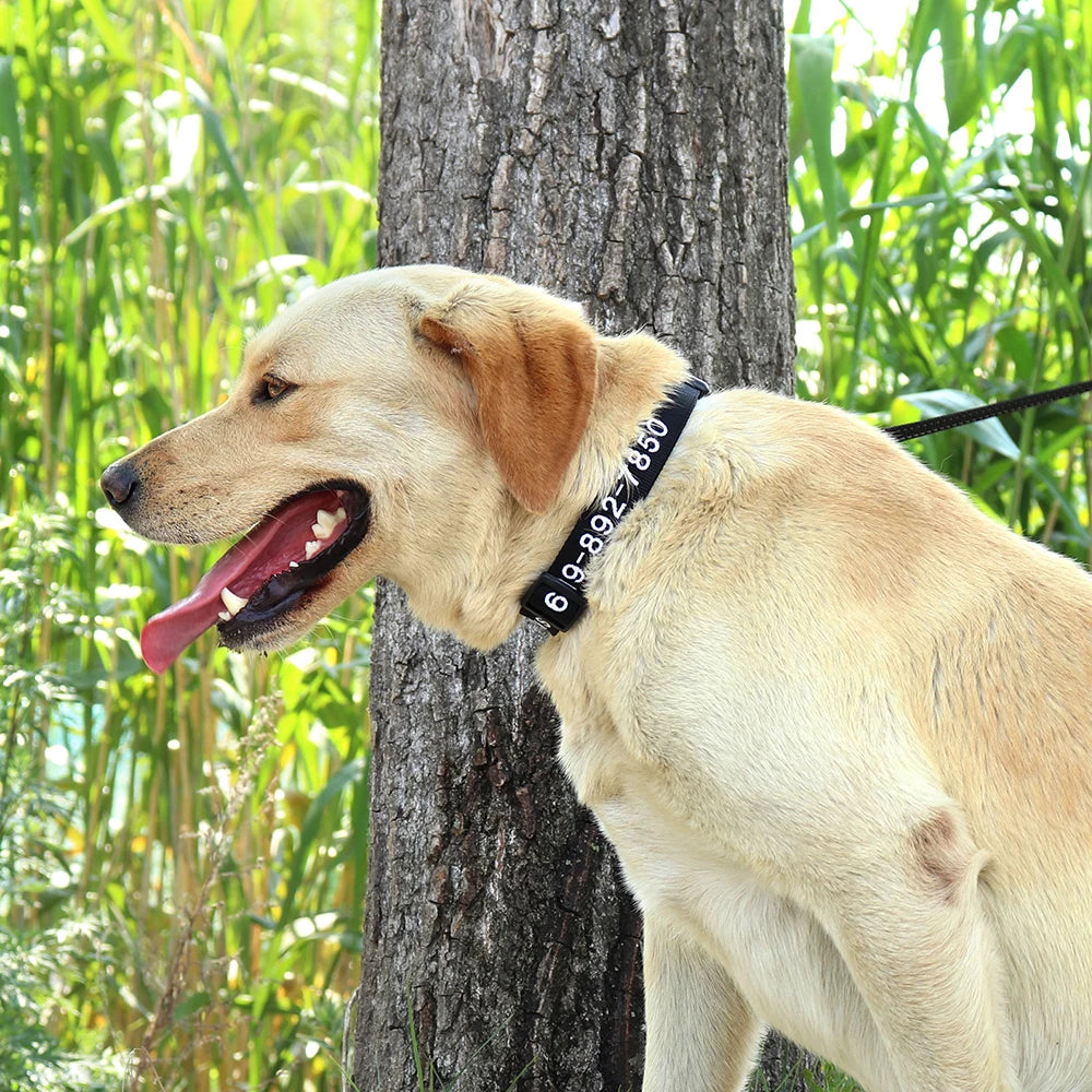Custom Dog Collar with Embroidered Name - Adjustable Nylon Pet ID