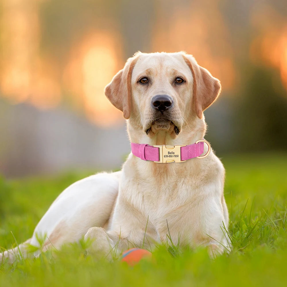 Custom Dog Collar PU Leather Personalized Pet Collar Metal Buckle