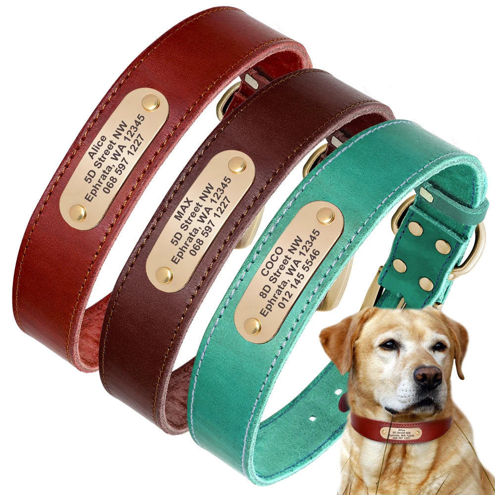 Personalized Leather Dog Collar with Custom Engraved ID Tag