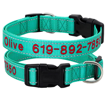 Personalized Reflective Dog Collar - Custom Embroidered Name & Phone 21-1 Light Green