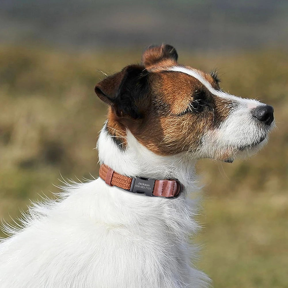Custom Engraved Dog Collar - Durable Nylon Pet ID Collar
