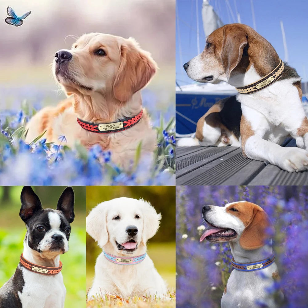 Personalized Dog Collar with Free Engraving - Premium PU Leather