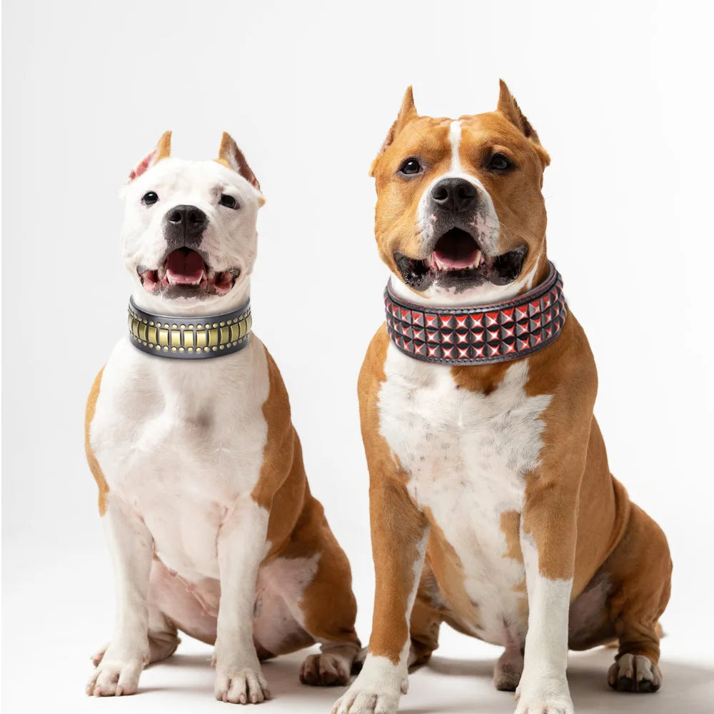 Luxury Leather Dog Collar 2 Inch Wide Diamond Spike - Large Dogs