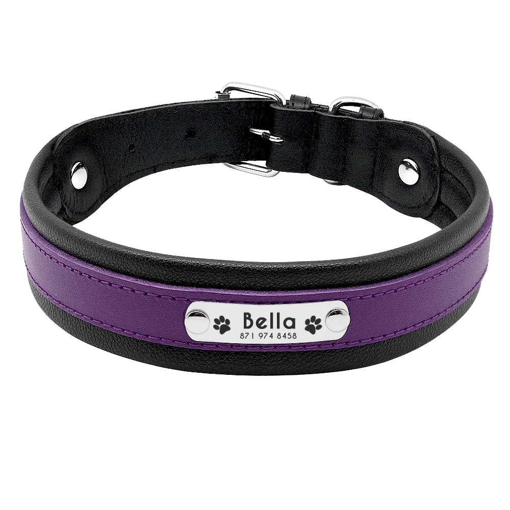 Personalized Leather Dog Collar - Custom Engraved Nameplate Purple