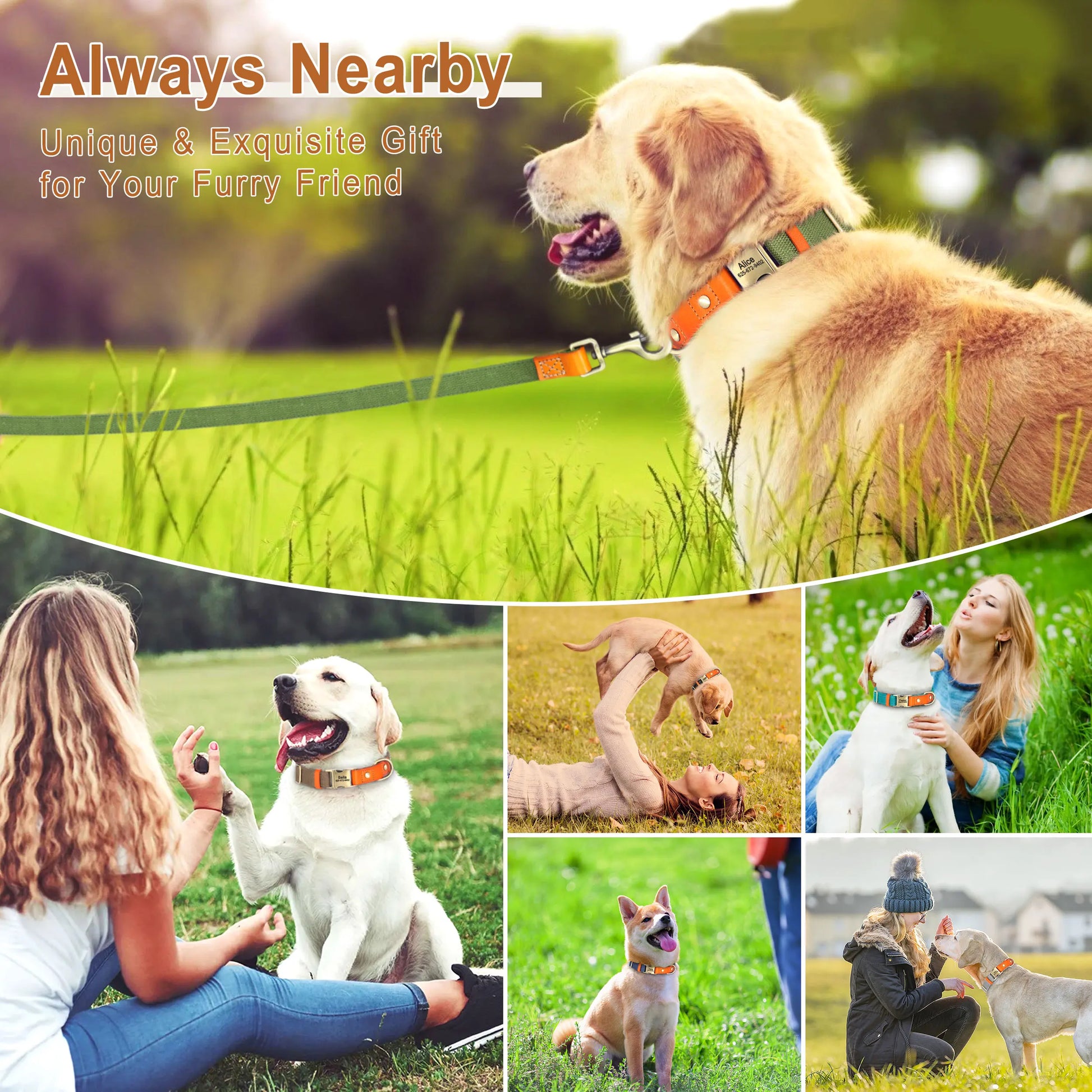 Custom Dog Collar with ID Tag - Personalized Nylon Leather Pet