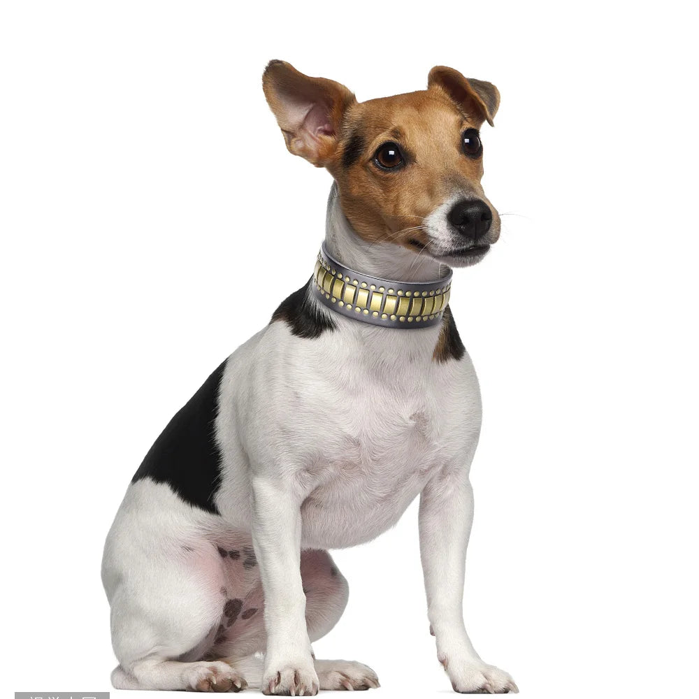 Luxury Leather Dog Collar 2 Inch Wide Diamond Spike - Large Dogs