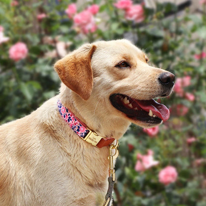 Custom Engraved Dog Collar - Personalized Flower Print Pet ID Collar