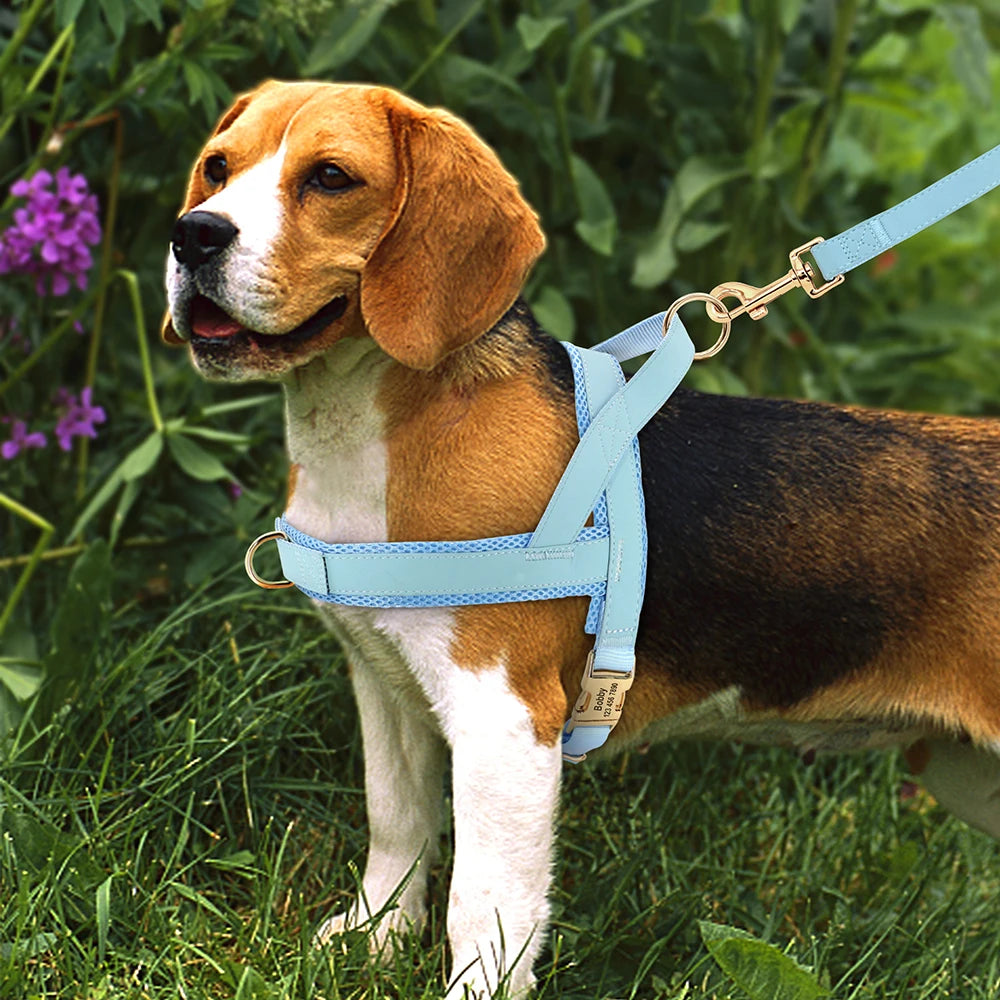 Custom Leather Dog Harness - Personalized No Pull Vest S-XL