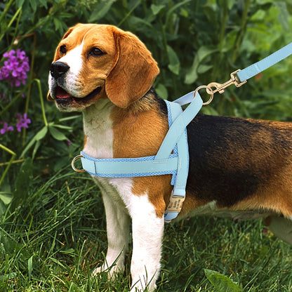 Custom Leather Dog Harness - Personalized No Pull Vest S-XL