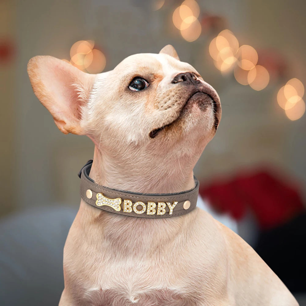 Personalized Soft Dog Collar with Free Rhinestone Charm