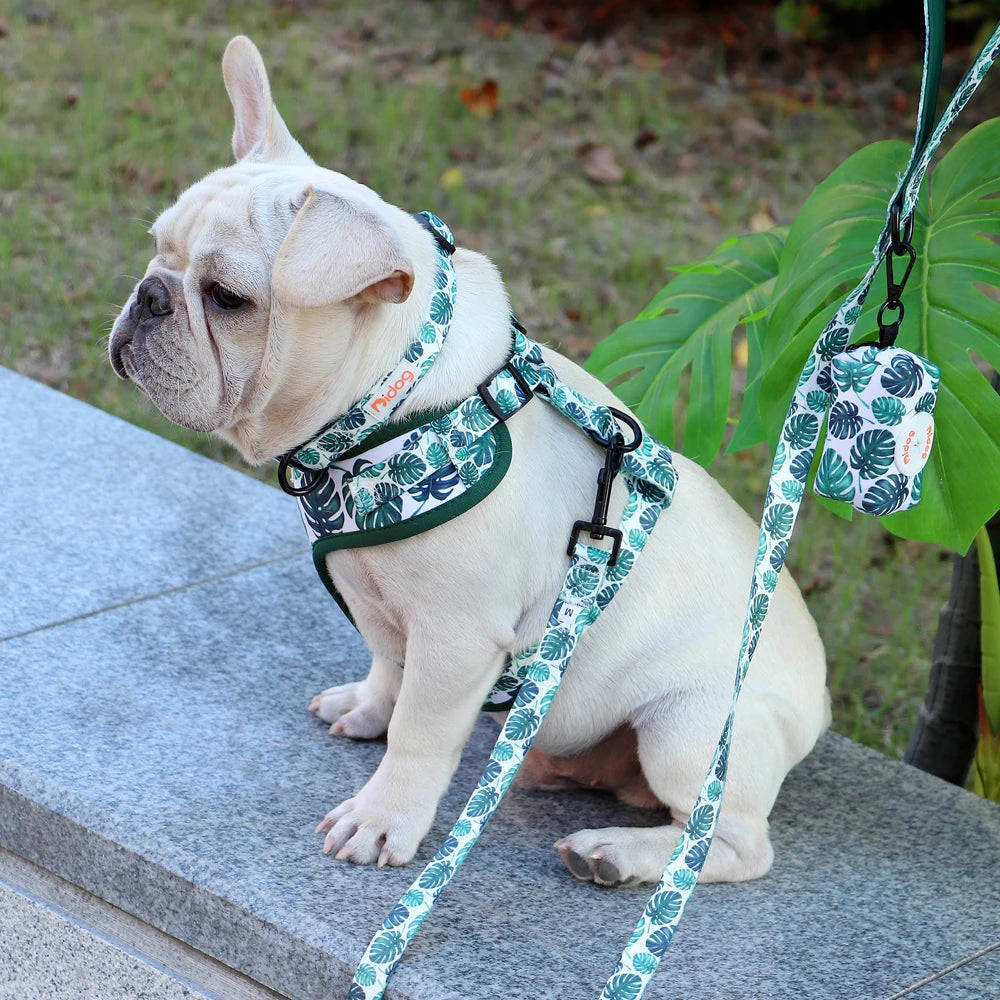 Dog Harness and Leash Set with Waste Bag Dispenser - Mesh Vest