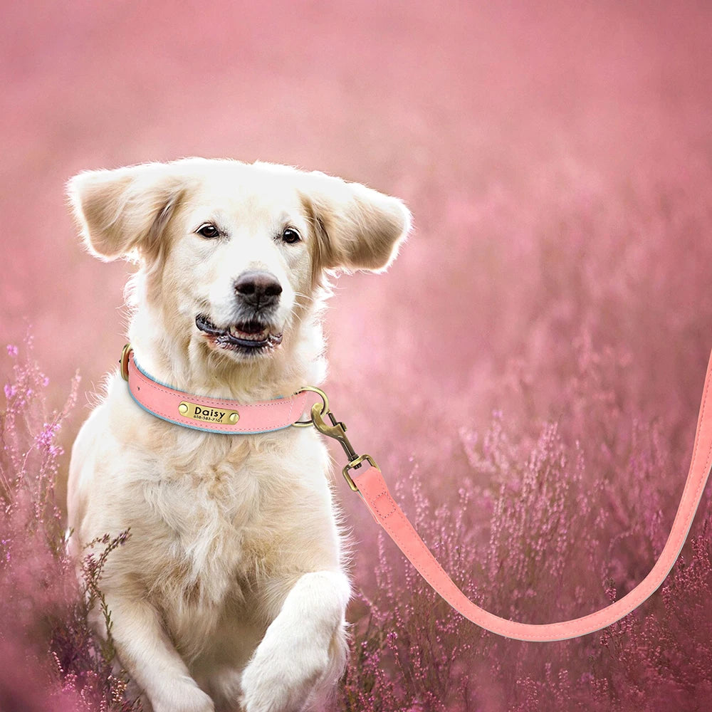 PU Leather Dog Collar Leash Set - Soft Adjustable for Small Dogs