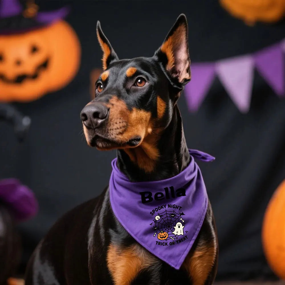 Reflective Dog Collar & Leash Set with Custom Engraved ID Tag