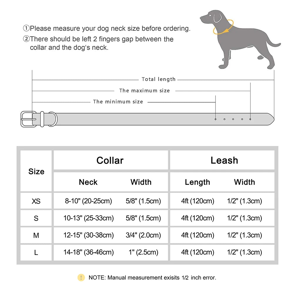 Personalized Dog Collar and Leash Set with Rhinestone Charm - Custom Pet Collar for Small to Large Dogs