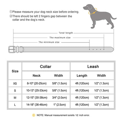 Personalized Dog Collar and Leash Set with Rhinestone Charm - Custom Pet Collar for Small to Large Dogs