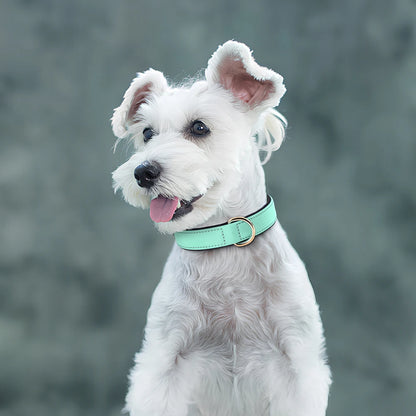 Waterproof Dog Collar - Durable Nylon with Soft Padding