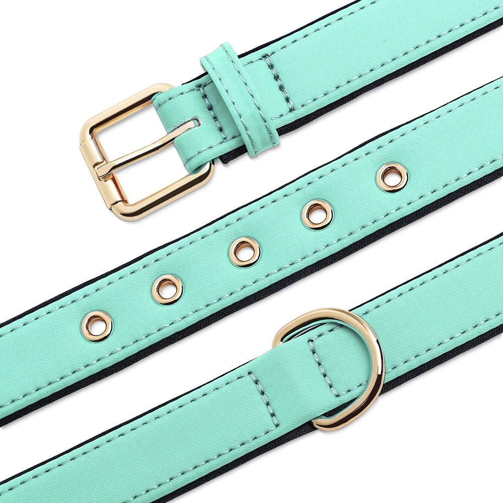Waterproof Dog Collar - Durable Nylon with Soft Padding