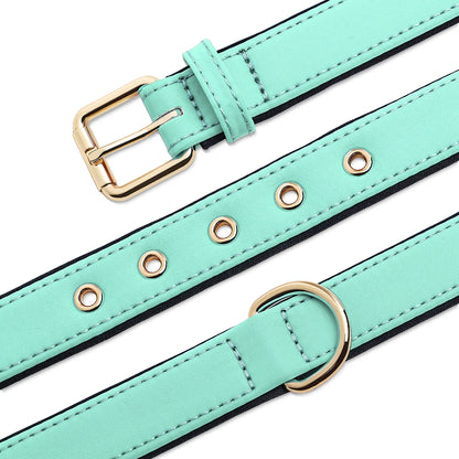 Waterproof Dog Collar - Durable Nylon with Soft Padding