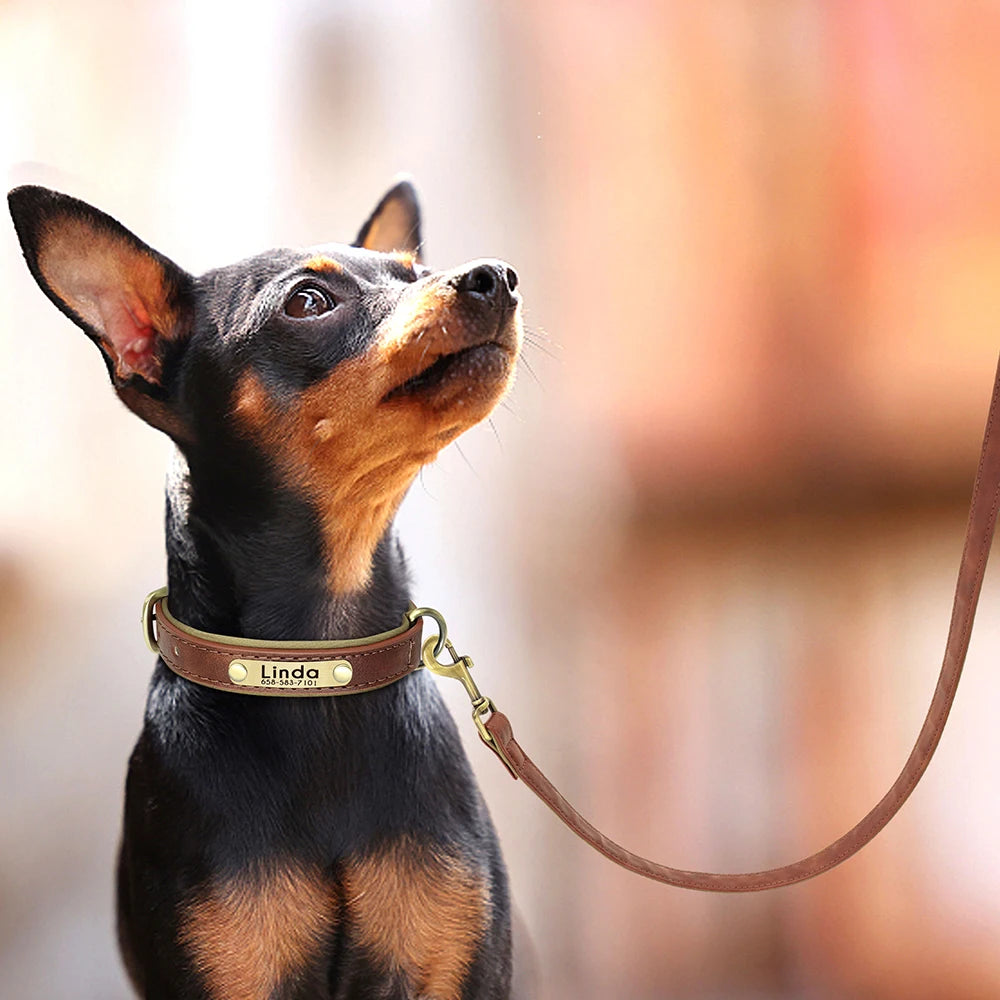PU Leather Dog Collar Leash Set - Soft Adjustable for Small Dogs