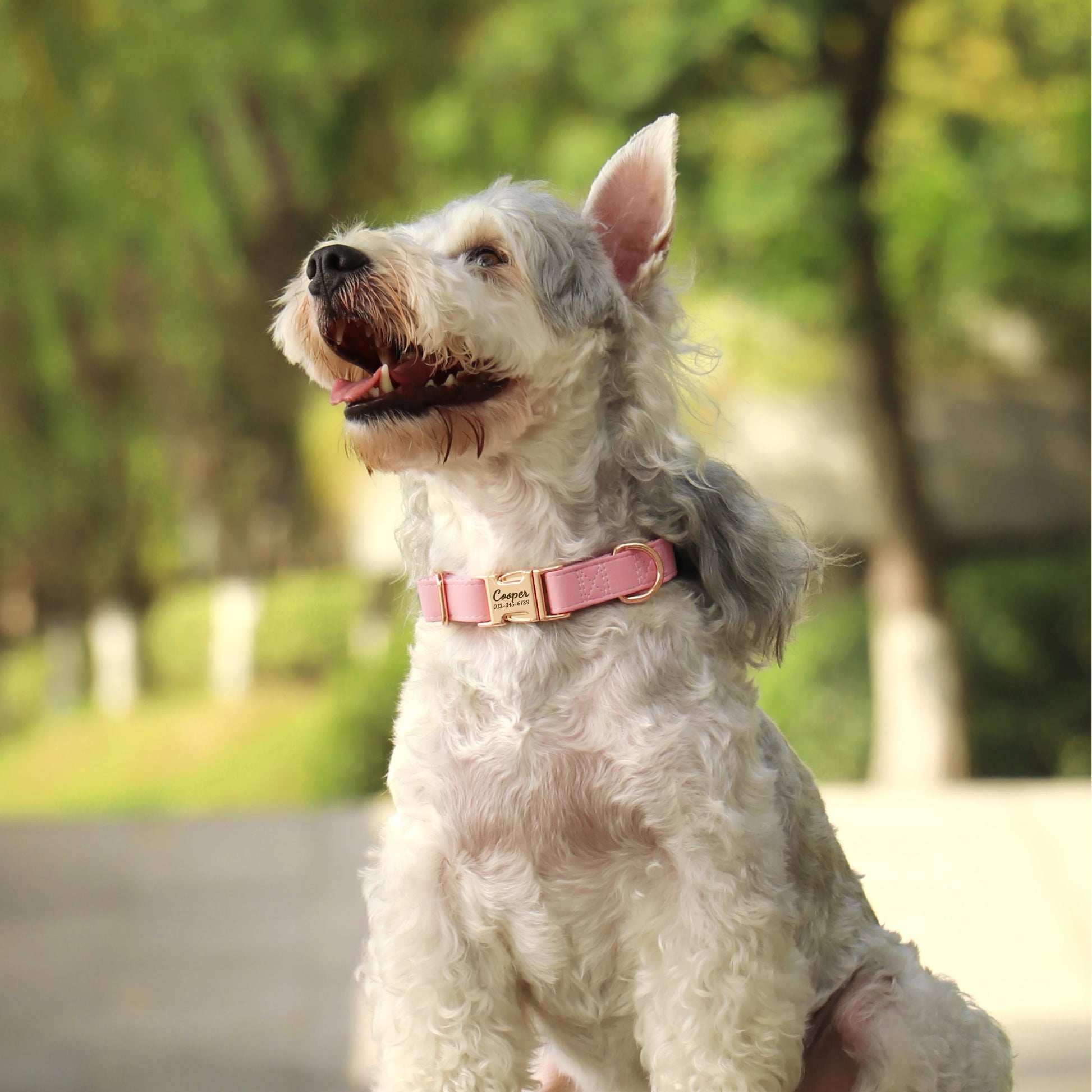 Custom Engraved Dog Collar - Personalized PU Leather Pet ID Collar
