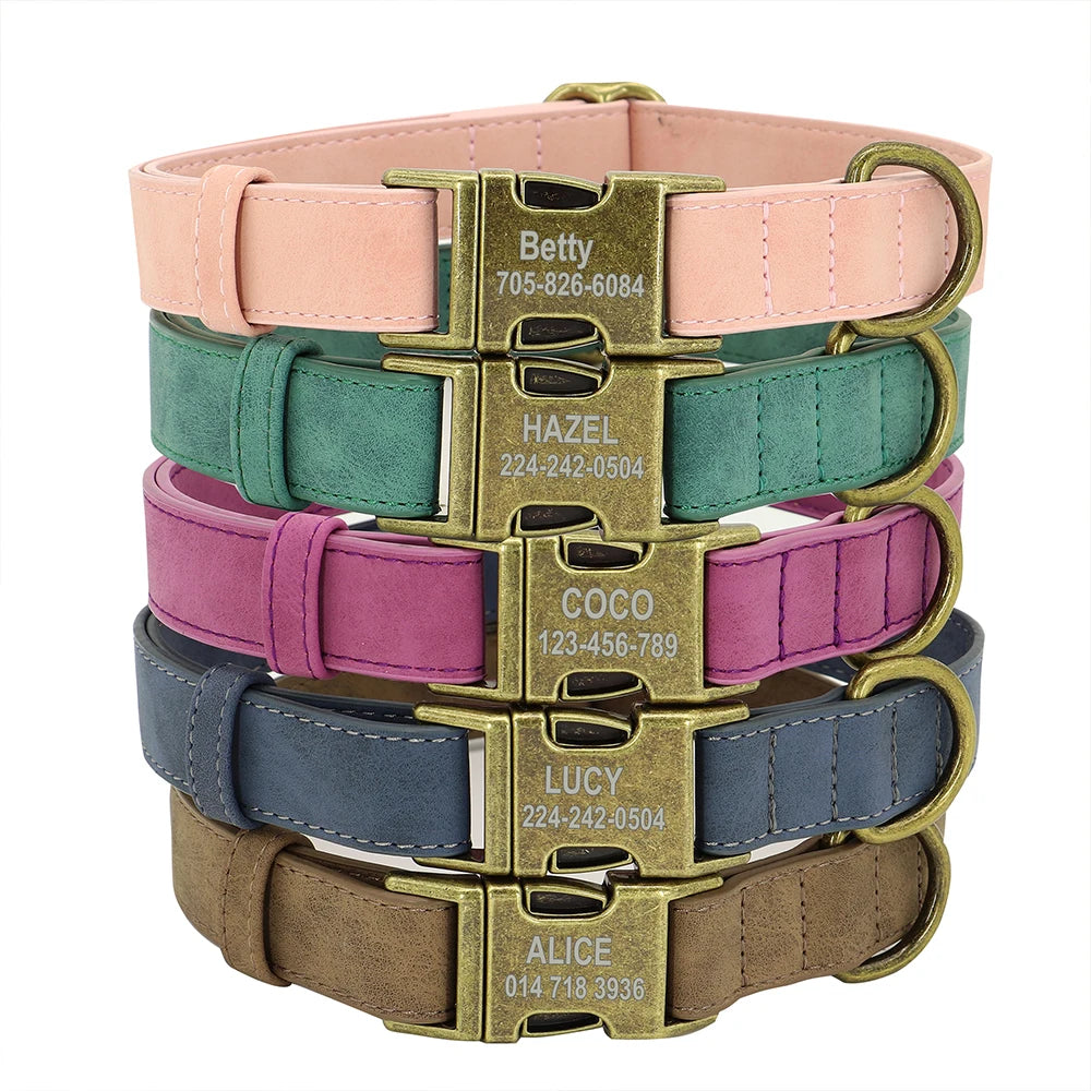 Personalized Dog Collar & Leash Set - Custom Engraved Pet Accessories