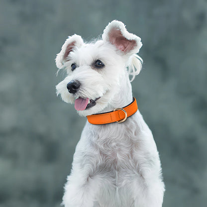 Waterproof Dog Collar - Durable Nylon with Soft Padding