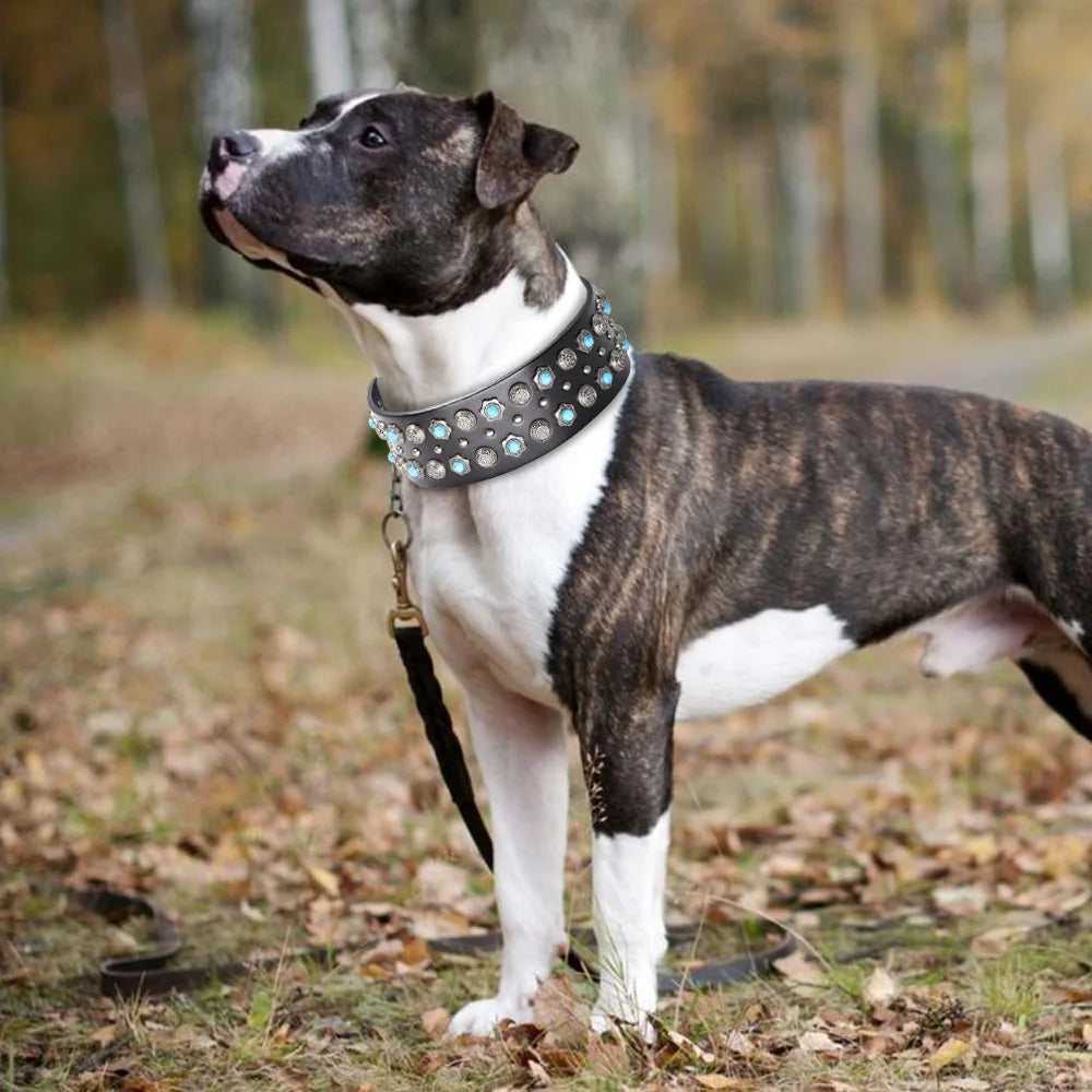 Luxury Leather Dog Collar 2 Inch Wide Diamond Spike - Large Dogs